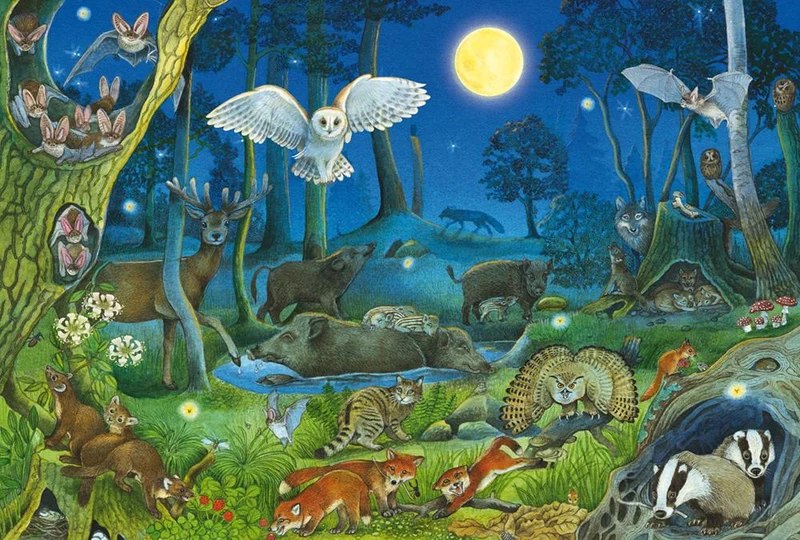 Kinderpuzzle Tiere nachts im Wald 100 Teile – Schmidt