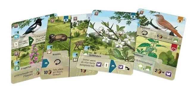 Mischwald – Kartenspiel ab 10 Jahren