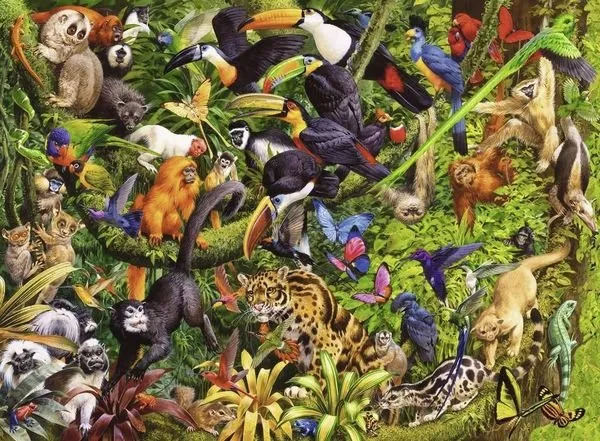 Puzzle 200 Teile XXL - Bunter Dschungel