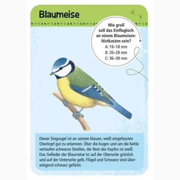 50 heimische Vögel entdecken & bestimmen