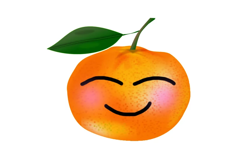 The Orange Side Logo