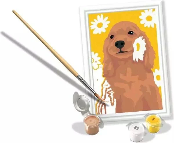 Malen nach Zahlen Cocker Spaniel Sunny ab 7 Jahren