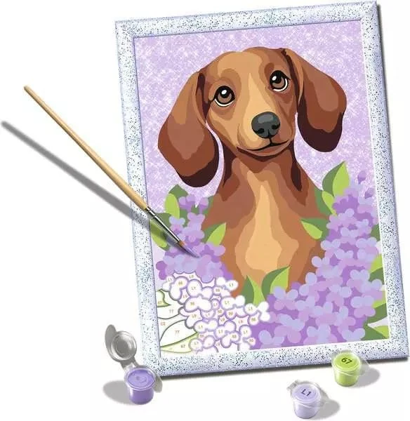 Malen nach Zahlen Dackel Lilac ab 7 Jahren