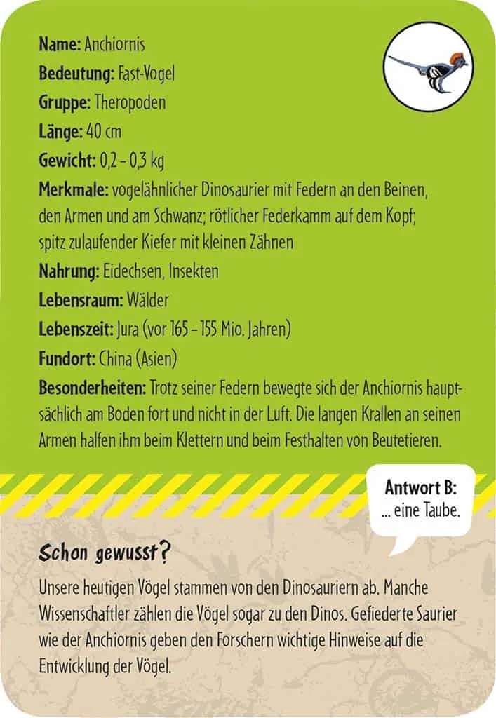50 Dinosaurier Erkennen und Staunen