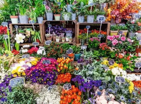 Blumenmarkt Frankreich Puzzle 500 Teile