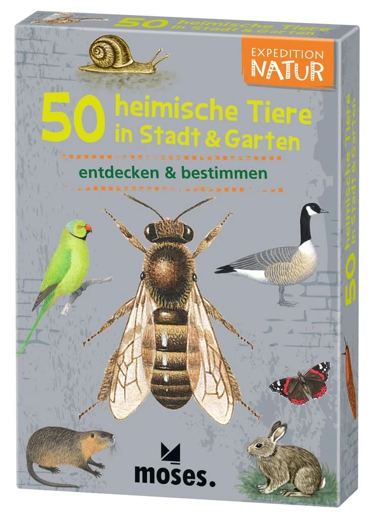 Lernkarten – 50 heimische Tiere in Stadt und Garten