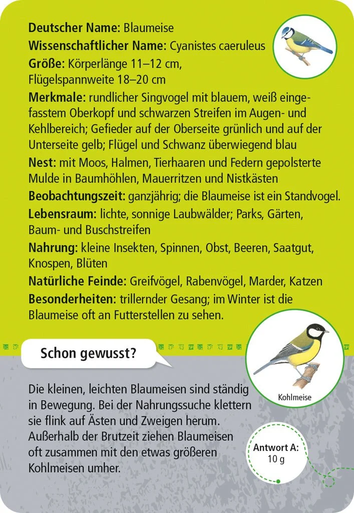 Lernkarten – 50 heimische Tiere in Stadt und Garten