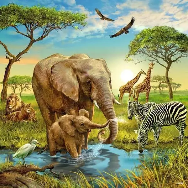Puzzle ab 5 Jahren – Tiere der Erde mit 3x49 Teilen