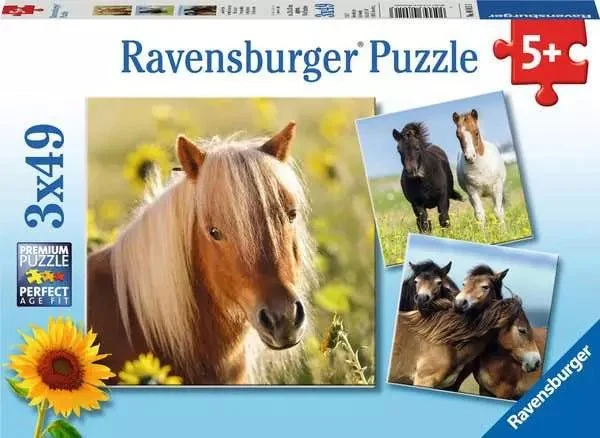 Puzzle ab 5 Jahren – Liebe Pferde mit 3x49 Teilen