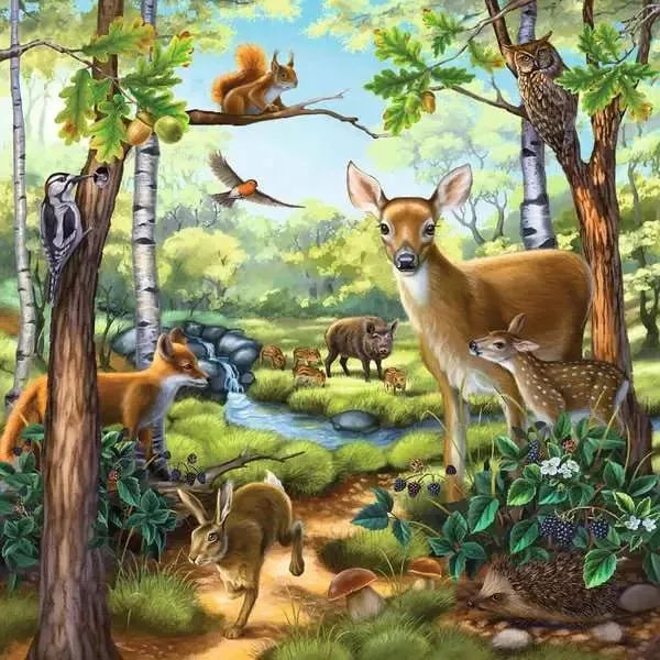 Wald-/Zoo-/Haustiere Kinderpuzzle – Ravensburger 3x49 Teile