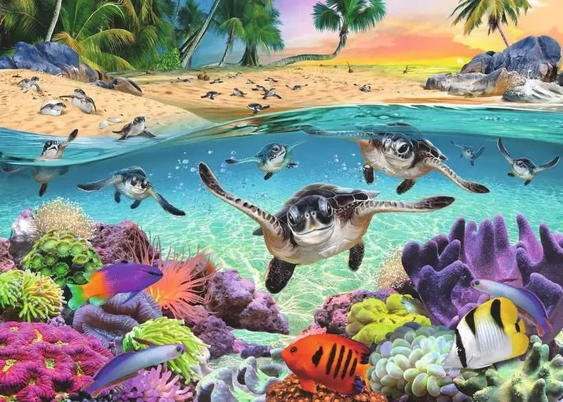 Erwachsenenpuzzle Meeresschildkröten – 500 große Puzzleteile
