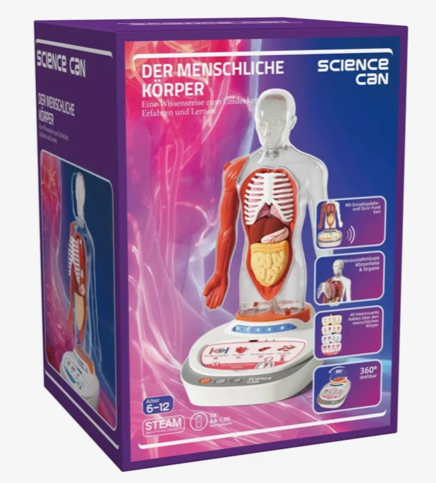 Menschlicher Körper Modell – Anatomie Lernspiel