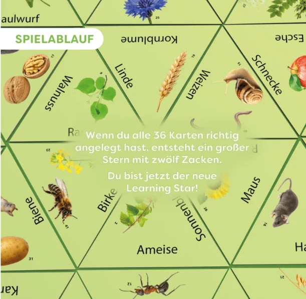 Learning Star Natur – Natur Lernspiel ab 8 Jahren – HABA