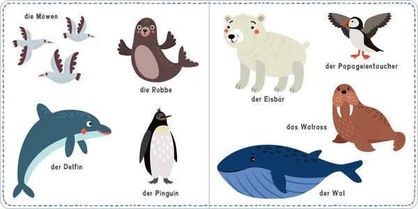 Mein kunterbuntes Wörterbuch- Tiere