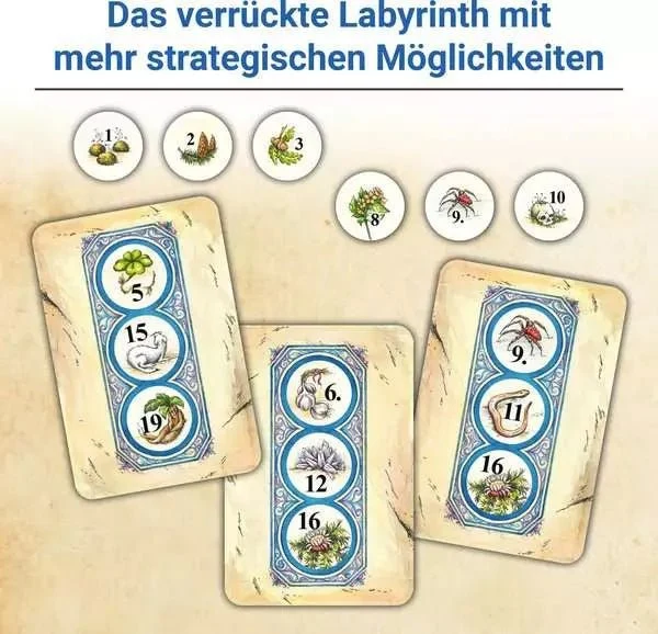 Labyrinth der Meister - Spiel
