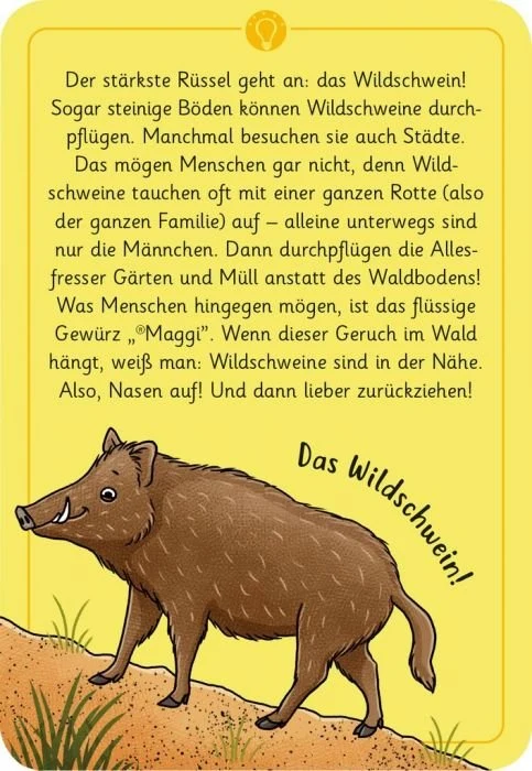 Expedition Natur - 50 wundersame Tierrätsel: Wald