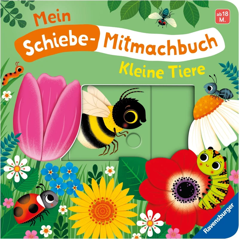 Mein Schiebe-Mitmachbuch - kleine Tiere