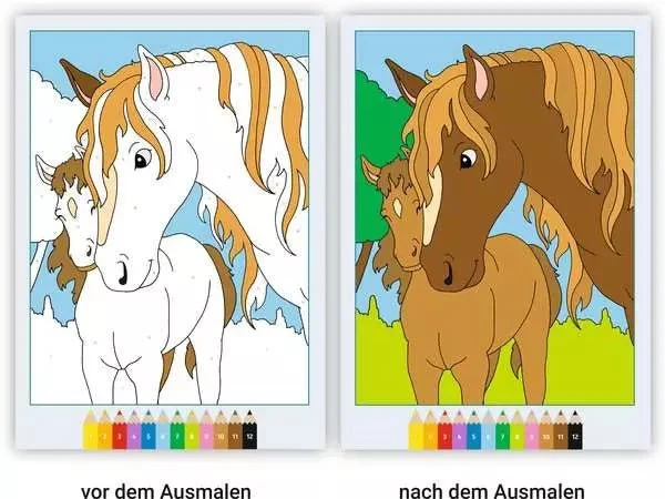 Malen nach Zahlen - CreArt- Pferde
