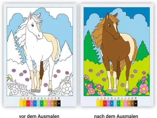 Malen nach Zahlen - CreArt- Pferde