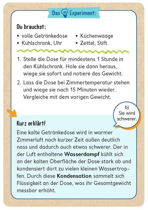 PhänoMINT 75 Schätz-Experimente zu Hause