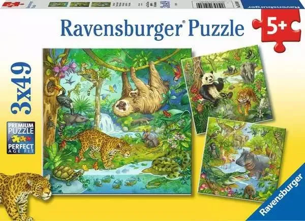 Kinderpuzzle 3x49 Teile Im Urwald ab 5 Jahren – Ravensburger