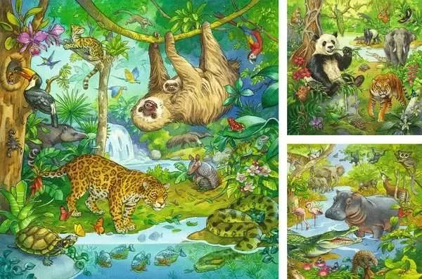 Kinderpuzzle 3x49 Teile Im Urwald ab 5 Jahren – Ravensburger