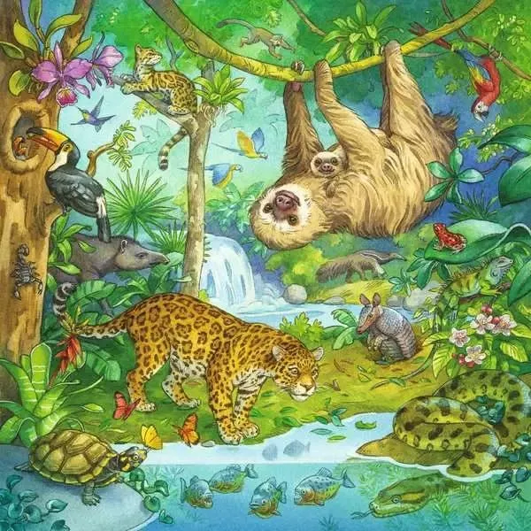Kinderpuzzle 3x49 Teile Im Urwald ab 5 Jahren – Ravensburger