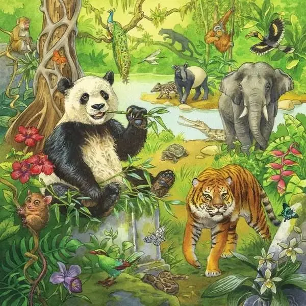 Kinderpuzzle 3x49 Teile Im Urwald ab 5 Jahren – Ravensburger