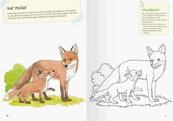 Mein großes Natur-Malbuch – Lernmalbuch