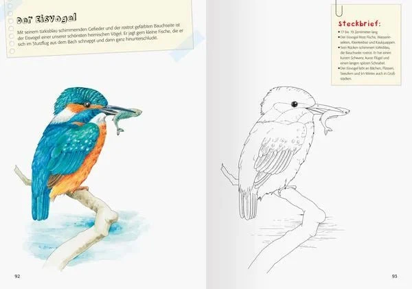 Mein großes Natur-Malbuch – Lernmalbuch