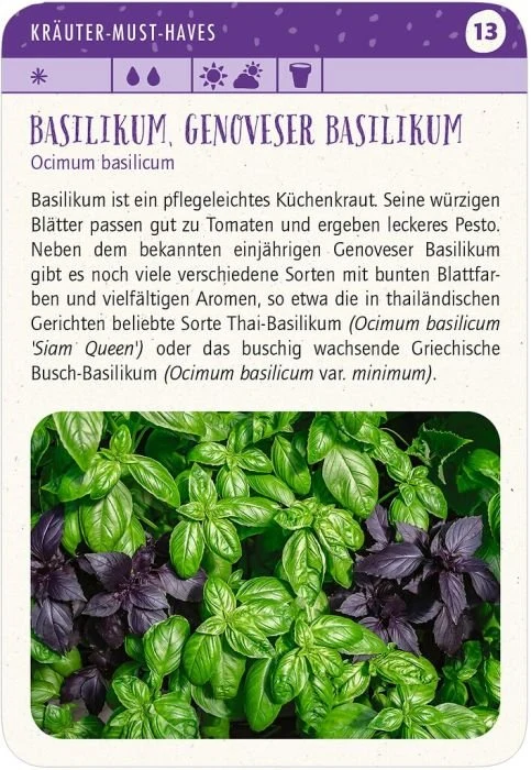 Blatt & Blüte Kräuterglück
