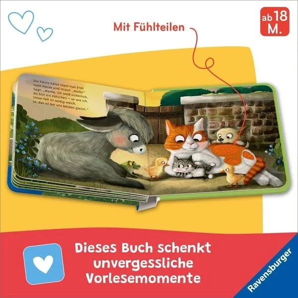 Mein erstes Vorlese-Fühlbuch - Bist du eine Katze?