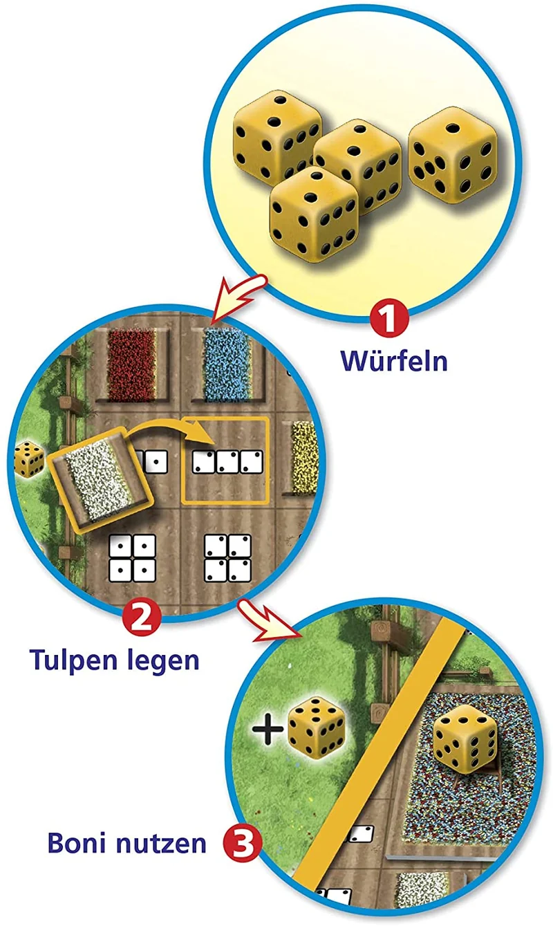 Tulpenfieber – Würfelspiel mit Solo Variante