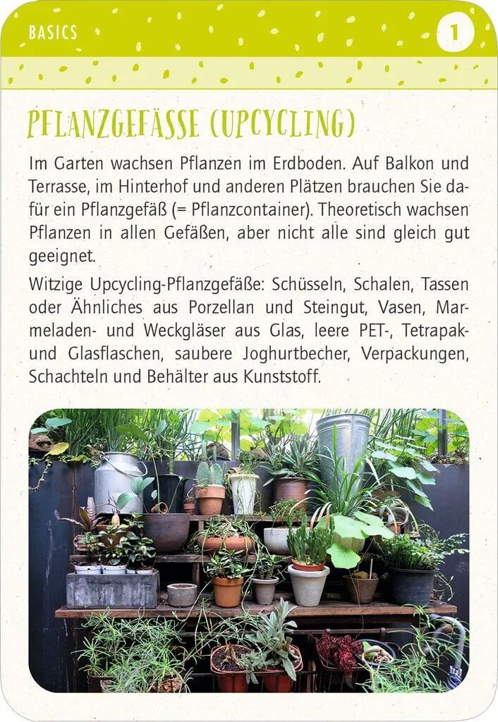 Blatt & Blüte Stadtgärtnern