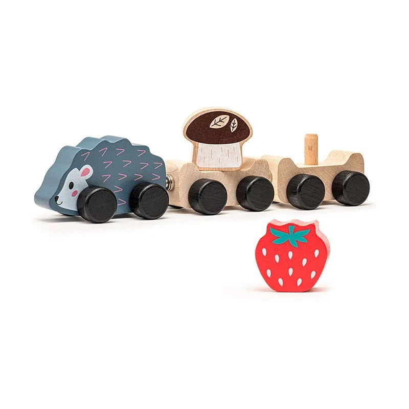 Igel-Zug "Clever Hedgehog" aus Holz 5-teilig